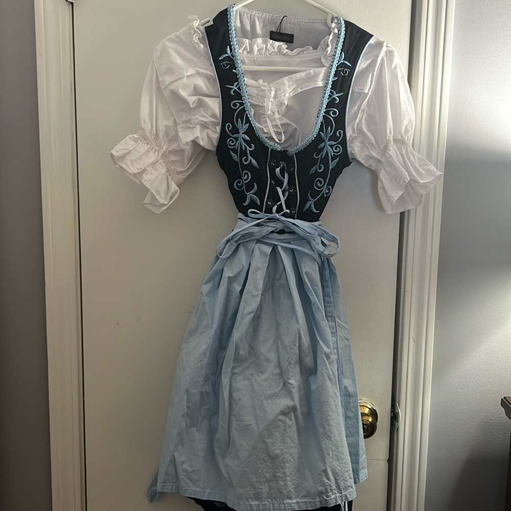Costume-worn once, Oktoberfest Dress